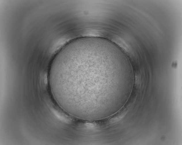 X0000092000302200709131519