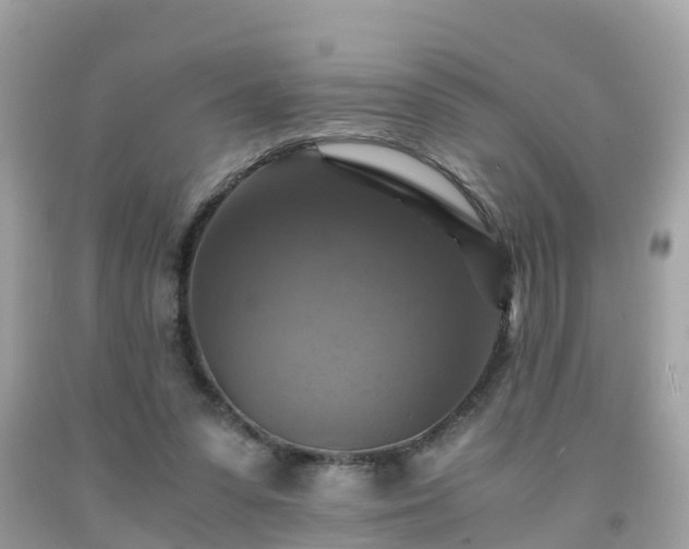 X0000092000303200709131519