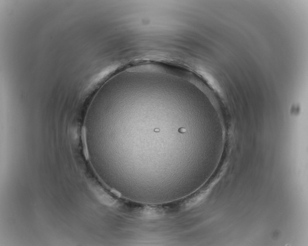 X0000092000305200709131519