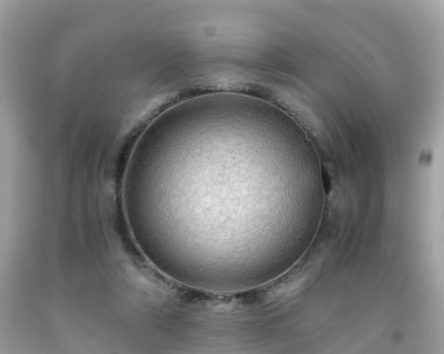 X0000092000306200709131519