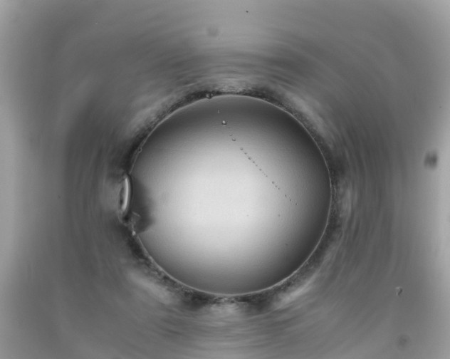 X0000092000307200709131519