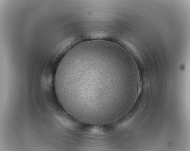 X0000092000308200709131519