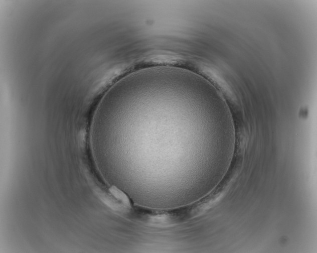 X0000092000309200709131519