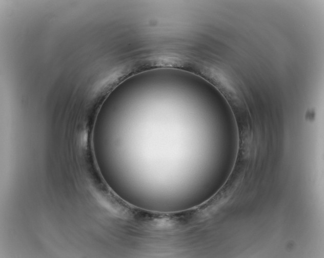 X0000092000310200709131519