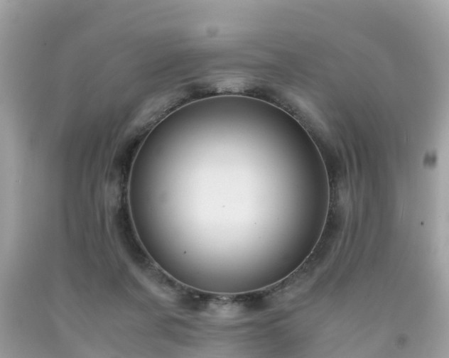 X0000092000311200709131519