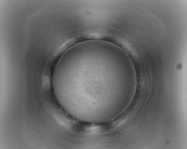 X0000092000312200709131519