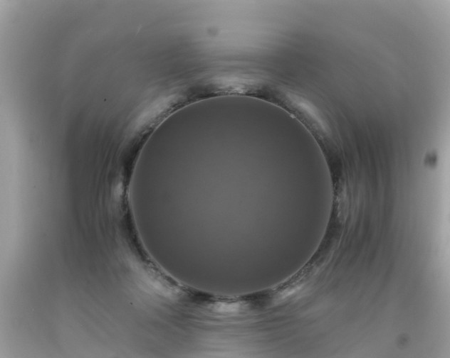 X0000092000314200709131519