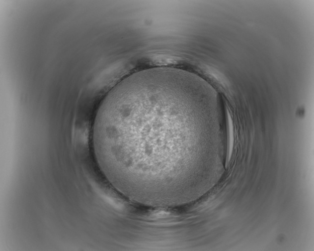 X0000092000315200709131519