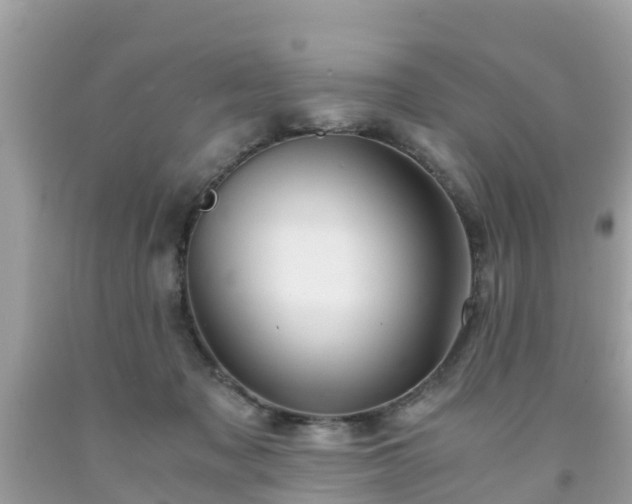 X0000092000317200709131519