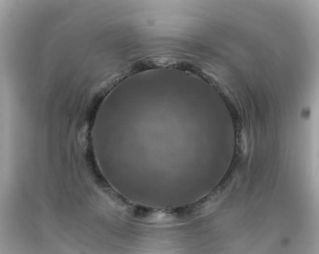 X0000092000319200709131519