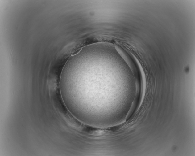 X0000092000323200709131519