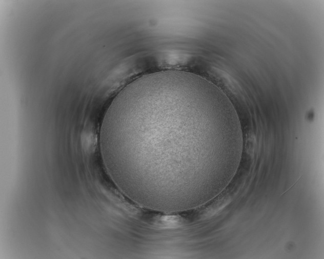 X0000092000324200709131519