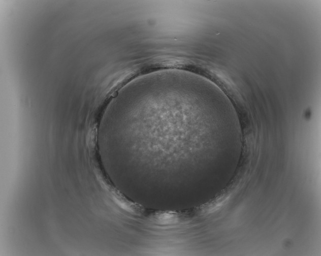 X0000092000325200709131519