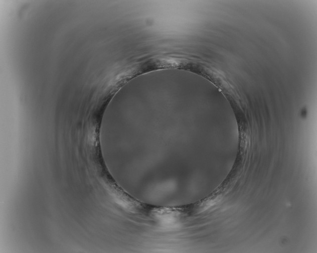 X0000092000331200709131519