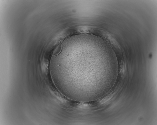 X0000092000332200709131519