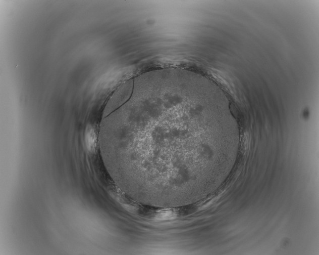 X0000092000335200709131519