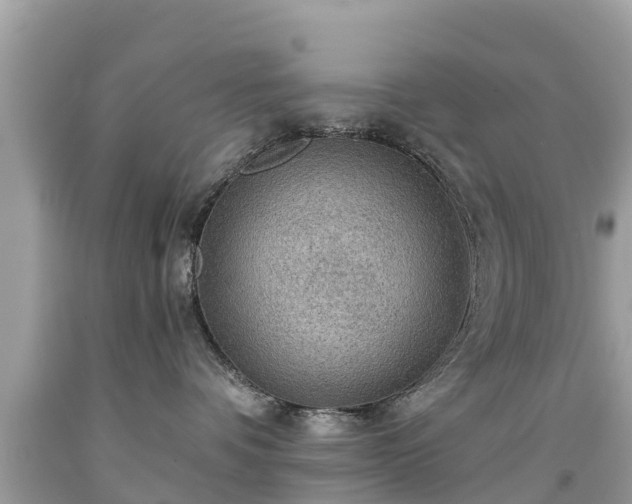 X0000092000336200709131519