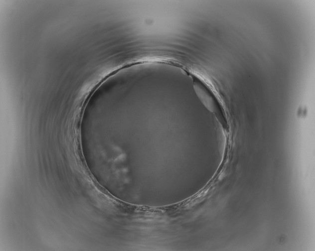 X0000092000337200709131518