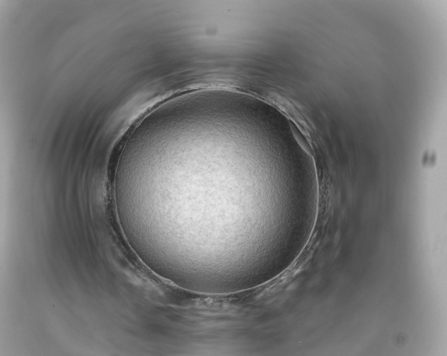 X0000092000338200709131518