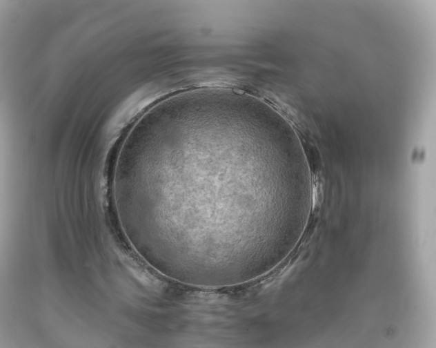 X0000092000339200709131518