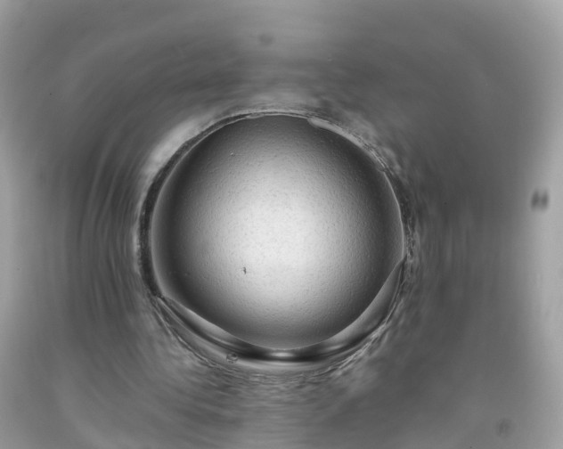 X0000092000340200709131519