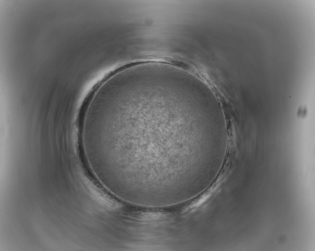 X0000092000342200709131519