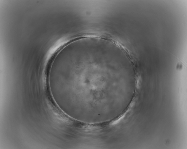 X0000092000343200709131519