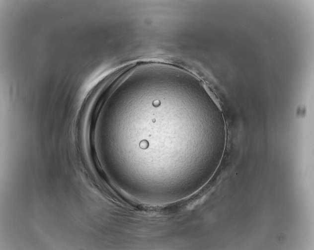 X0000092000344200709131519