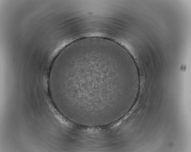 X0000092000345200709131519