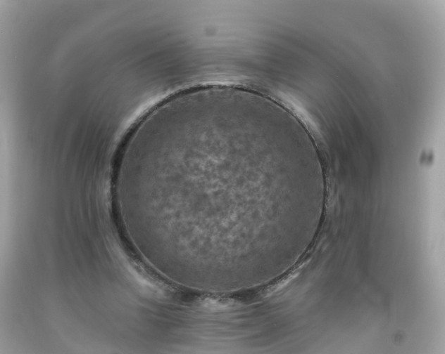 X0000092000346200709131519