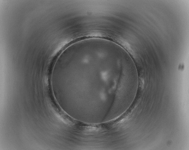 X0000092000347200709131519