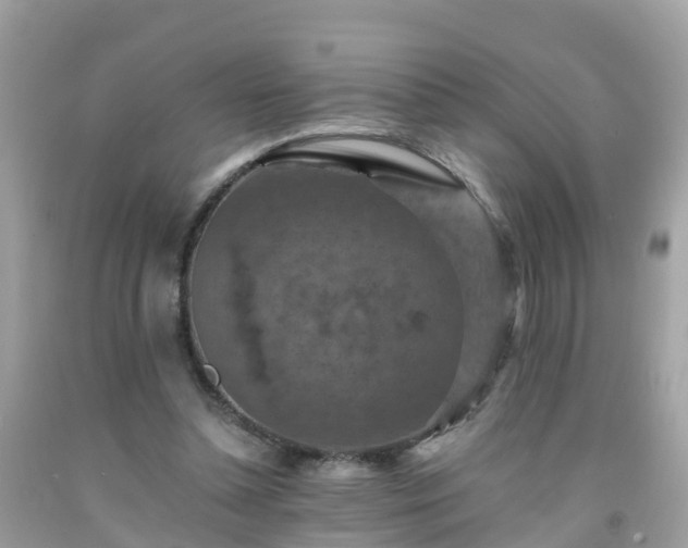 X0000092000348200709131519