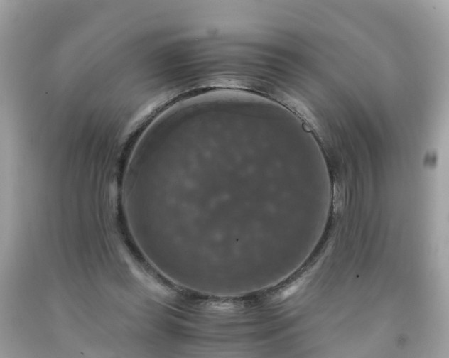 X0000092000349200709131519