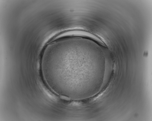 X0000092000350200709131519