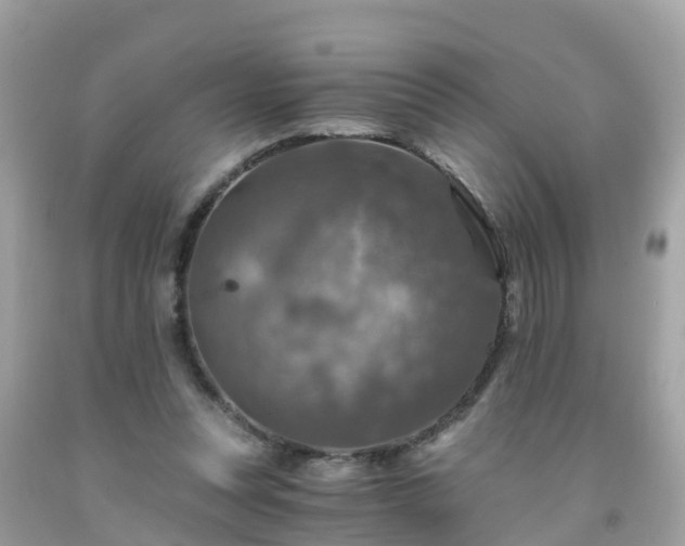 X0000092000351200709131519