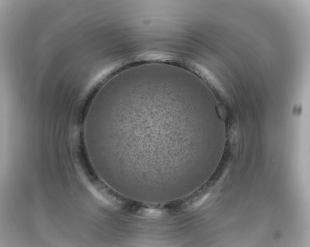 X0000092000352200709131519