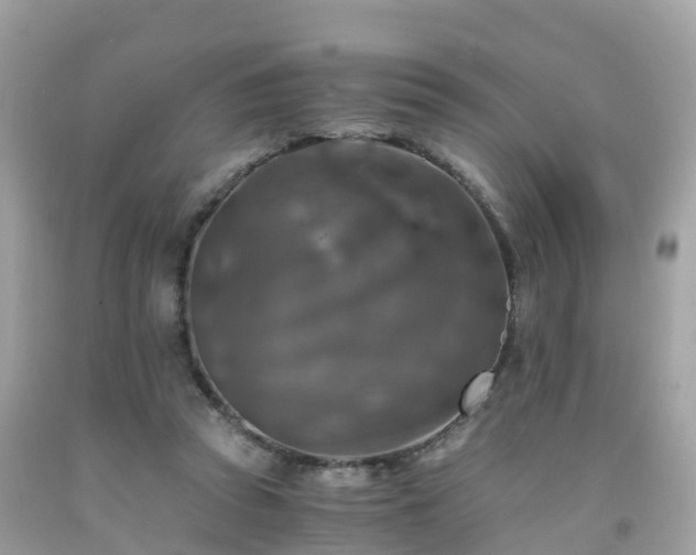 X0000092000353200709131519