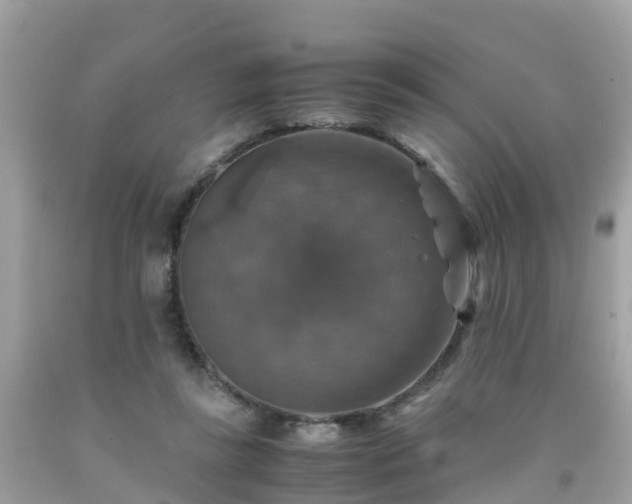 X0000092000355200709131519