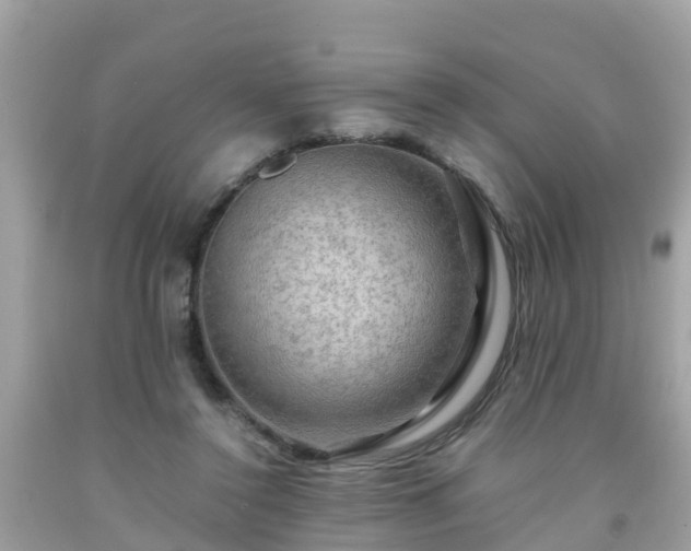 X0000092000356200709131519