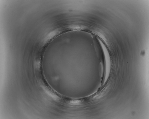 X0000092000357200709131519