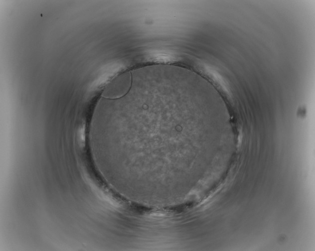 X0000092000358200709131519