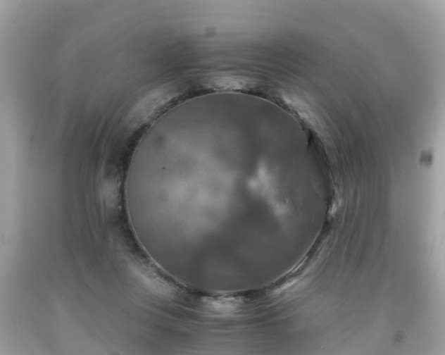 X0000092000359200709131519