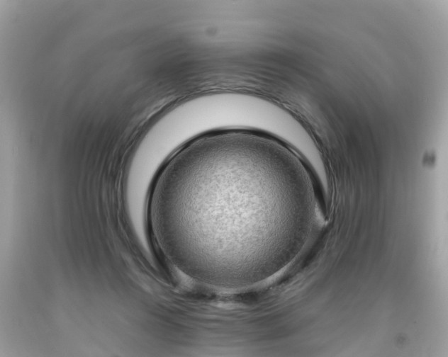 X0000092000360200709131519