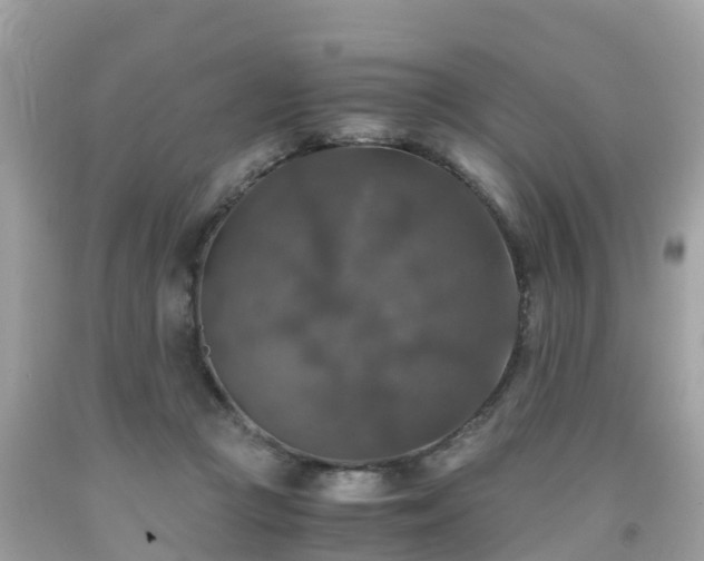 X0000092000361200709131519