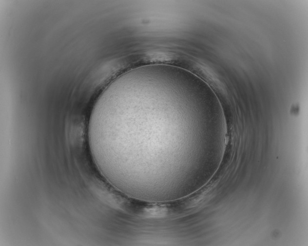 X0000092000362200709131519