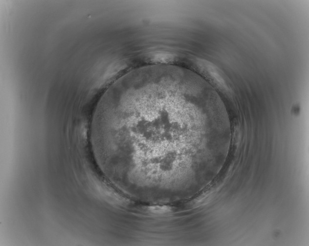 X0000092000363200709131519