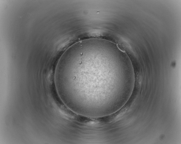 X0000092000364200709131519