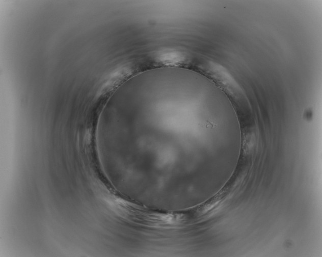 X0000092000365200709131519