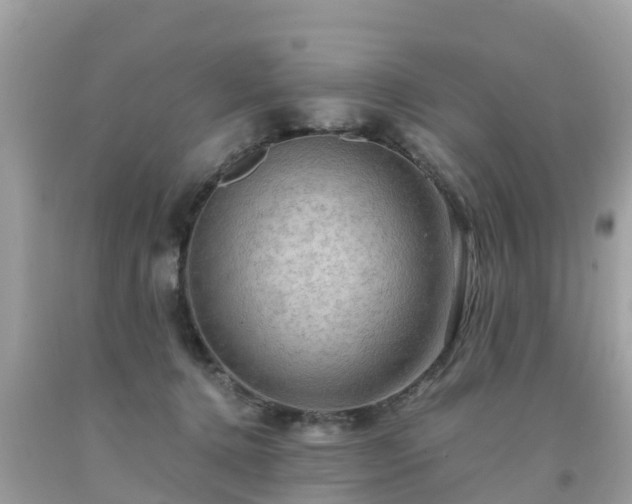 X0000092000368200709131519