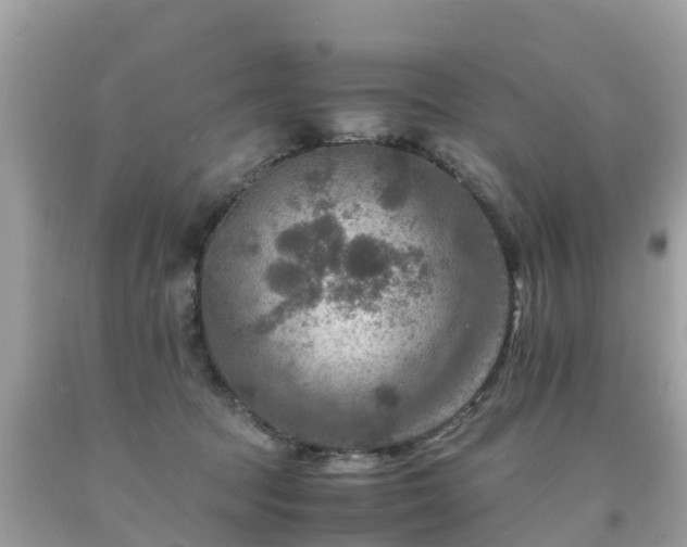 X0000092000369200709131519